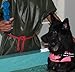Large Squeaky Dogs Toy For Semi Aggressive Chewers; Big Tough 11