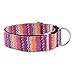 EXPAWLORER Martingale Collars for Dogs, Heavy Duty Nylon Dog Collar Large