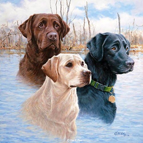 Hestian Children's Paint-by-number Kits, Pbn Kit, Diy Kit for Kids, Crystal Diamond Painting--- Dogs