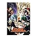Bowinr My Hero Academia Poster, Izuku Midoriya Katsuki Bakugou Todoroki Shoto No Fading Art Print Poster (42x30cm) 16.5