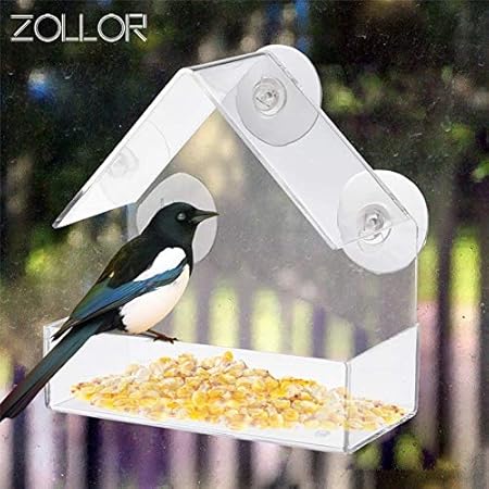 Amazon Com Verbena Hot Bird Feeding Bird Nest Transparent
