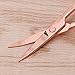 Thobu Stainless Steel Makeup Eyebrow Hair Eyelash Remover Trimmer Scissors Cutter Rose Gold