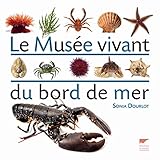 Le musée vivant du bord de mer (Monde aquatique et poissons) (French Edition) by