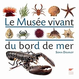 Le  musée vivant du bord de mer