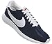 Nike Men's Roshe LD-1000 QS Fashion Sneakers