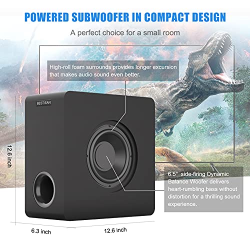 BESTISAN Bookshelf Speakers, Powered Bluetooth Bookshelf Speakers, RCA