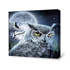 Canvas Wall Art for Living Room,Bedroom Home Artwork Paintings Charming Moon Ready to Hang - 12x12 inches