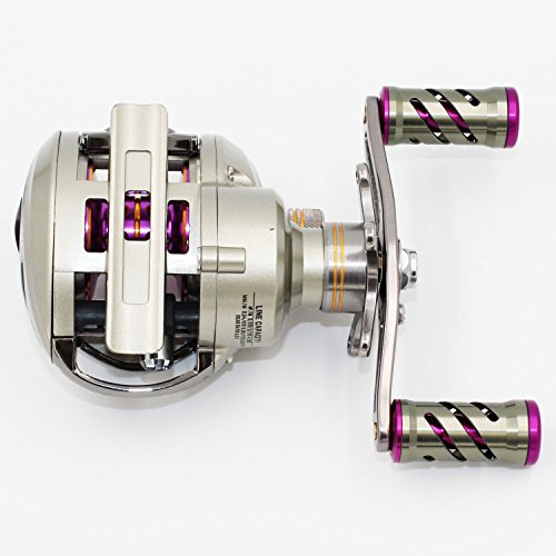 BERRYPRO Baitcasting Fishing Reel 10+1 Ball Bearings Baitcasting Reel