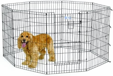 Exercise Pens