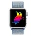 Yunsea Compatible for Apple Watch Band 42mm, New Nylon Sport Loop, with Hook and Loop Fastener, Adjustable Closure Wrist Strap, Replacement Band Compatible for iwatch, (42mm, Tahoe Blue)