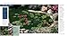 Water Gardens: How to Create Beautiful Fountains, Ponds, and Streams (Better Homes & Gardens)