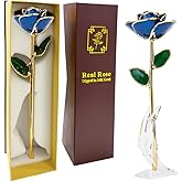 Gold Dipped Rose - Dipped 24K Gold Real Rose - Genuine One of a Kind - Eternal Romantic Present for Her - Ideal for Valentine's Day, Mother's Day, Anniversary, Birthday (Blue)