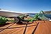 Airhead Water Ski Rope with EVA Handle, 1 Section for Tubing, Water Skis and Wakesurf Boards,Green and Black