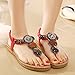 Nevera Shoes Ladies Flip-Flops Bohemian Elastic Strappy Thong Ankle Strap Sandals for Women