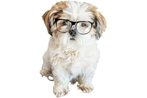 STYLE VAULT G002 Dog Pet Clear Lens Costume Glasses Small to Medium Breeds 12LBS~30LBS Prop Photoshoot Sunglasses (80s Black-Clear)