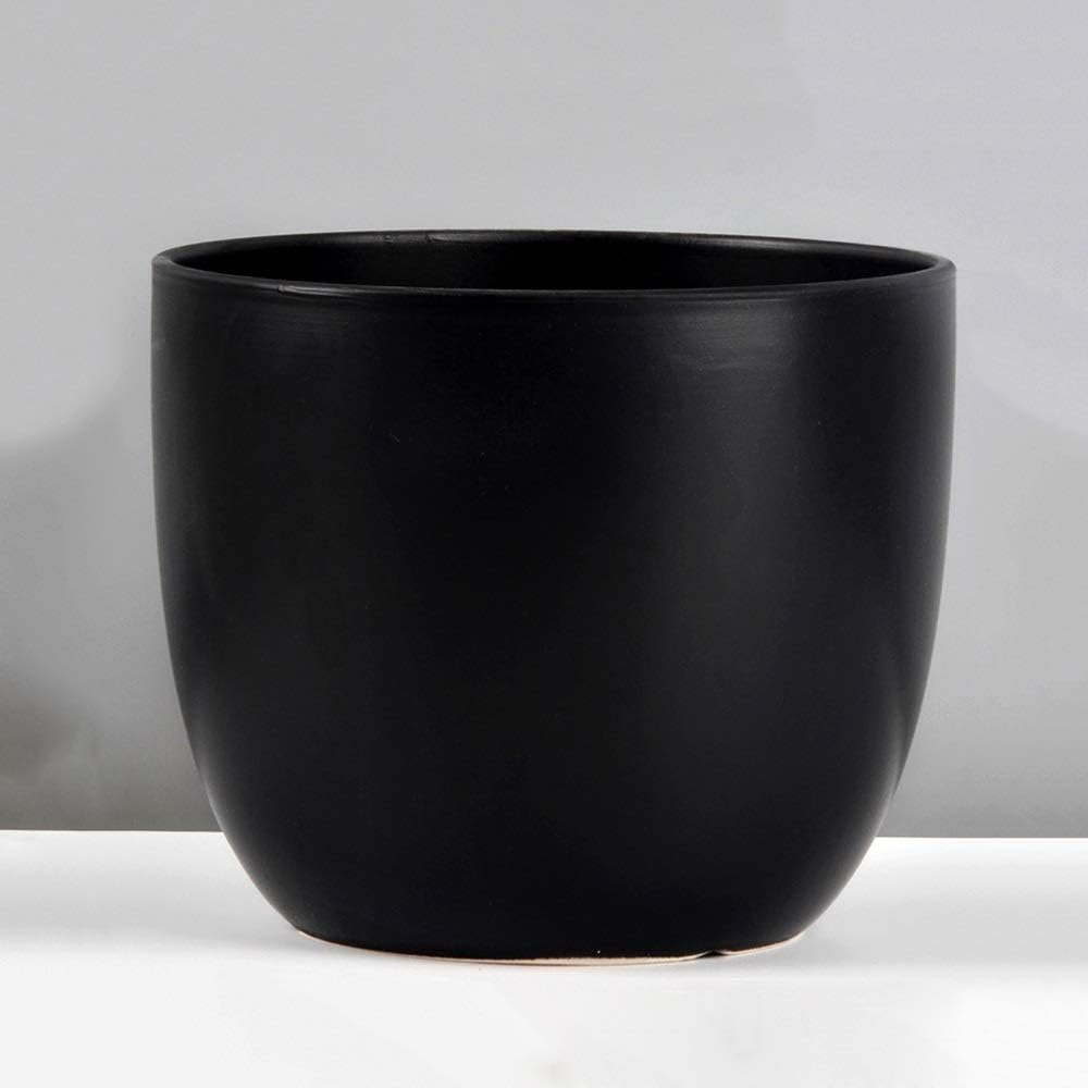 Faturt Nonporous Ceramic Cactus Plant Pot Decorative Plant Containers Design Ceramic Planter Pots For Hydroponic Plant Green Radish Potted Simple Flower Pot Ceramic Living Room Dining Room Decoration