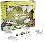 Insect Paint & Play