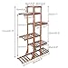 Wisfor Wooden Plant Stand for Indoor Plants, 6 Tiered Tall Plant Shelf Stand for Balcony Garden Flower Display Holder Stand