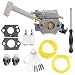 RY08420A Carb for Ryobi Bp42 Carburetor 308054079 RY08420 Backpack Blower Engine Lawn Mower Snowblower with Repower Parts Kit