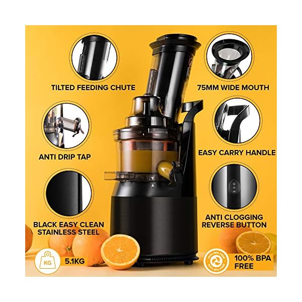 Powerful-Masticating-Juicer-for-Whole-Fruits-and-Vegetables-Fresh-Healthy-Juice-Sorbet-Ice-Cream-Wide-Mouth-75mm-Feeding-Chute-BPA-Free-240-Watt-Cold-Press-Black-Stainless-Steel-Fridja-f1900 FRIDJA Powerful Masticating Juicer for Whole Fruits and Vegetables, Fresh Healthy Juice, Sorbet, Ice Cream, Wide Mouth…