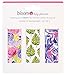 bloom daily planners 3-Pack Magnetic Bookmarks - Mini Snap-in Page Marker Clips for Planners, Books, Journals - 2.5” x 1” - Classic