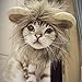 Pet Costume Cosplay Lion Mane Wig Cap Hat for Cat Halloween Xmas Clothes Fancy Dress with Ears Autumn Winter