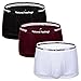 Dream Catcher Mens Briefs Underwear Pack 3 Cotton Mens Underwear Briefs Black White Red with Pouch Fly
