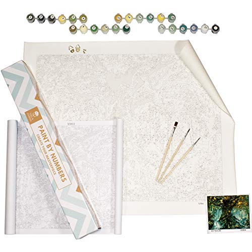 Paint by Numbers for Adults, Sip and Paint Party Supplies Adults Kit