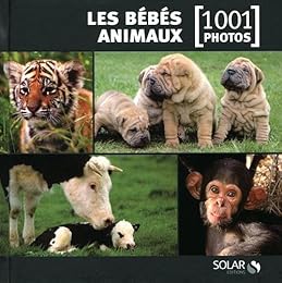 Les  bébés animaux