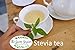 100% Dried Pure Stevia Leaves Herbal Tea, Natural Sweetener Diet 0.64 Oz. (20 g.) All Natural Ingredients, Nontoxic, Safe And Healthy in Zipper Packaging and Get Free a Wooden Spoon