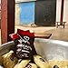 FairTaleGhana Natural Raw Organic Plant Based African Shea Butter Set with Travel Tins