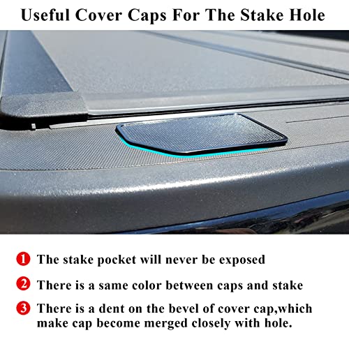 TTCRII for GMC Sierra and Chevy Silverado Bed Rail Stake Hole Covers