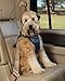 PetSafe Happy Ride Dog Safety Harness for Cars - Dog Car Harness Includes Seat Belt Tether - Keeps Pets Restrained - Breathable Mesh, Adjustable Straps - Dog Travel Accessories for Car - Medium
