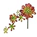 Supla 2Pcs Real Looking Faux Succulents Plants Soft Plastic Aeonium Succulents Cascading Pick in Burgundy and Green,11.75