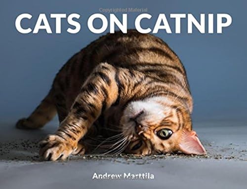 Download Cats on Catnip PDF