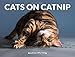 Cats on Catnip by Andrew Marttila