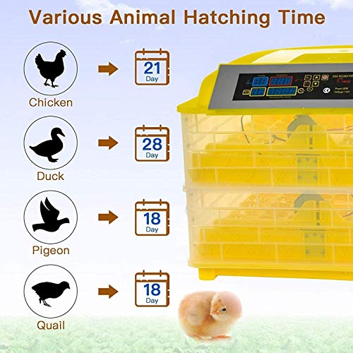LYRONG Inkubator, Vollautomatische Brutmaschinen, Automatisches Eierdrehen, Temperatur und Feuchtigkeitsregulierung, für… – Bild 6