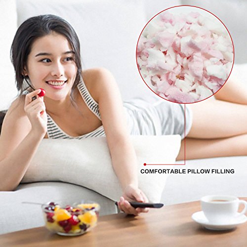 Workingfish 5lbs Shredded Memory Foam with Foam Filling Packed by