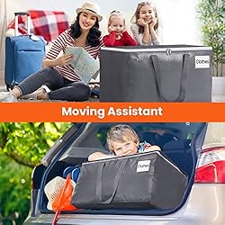 BlissTotes Large Moving Boxes and with Zippers