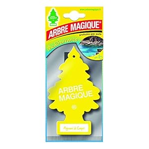 Arbre Magique Mono, autogeur, citrusgeur, capri-citrusvruchten, geur van citrusvruchten en fris, levensduur tot 7 weken…