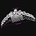 PIXNOR Crystal Rhinestones Crown Tiara Headband with Comb - Great for Wedding Bridal Bridesmaid Prom (Silver) (Silver)