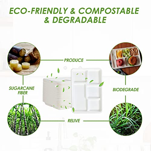 Vplus 100% Compostable 5 Compartment Paper Plates, 100 Pack, 12.5 x 8.6 inch Disposable School Lunch Trays, Eco-Friendly Bagasse Plates for Buffet, and Party