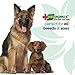 Vet Organics EcoRingworm Natural Skin Cleaner - All New Ringworm Formula for Dogs. Spray & Let Dry and Allow Healing to Begin.