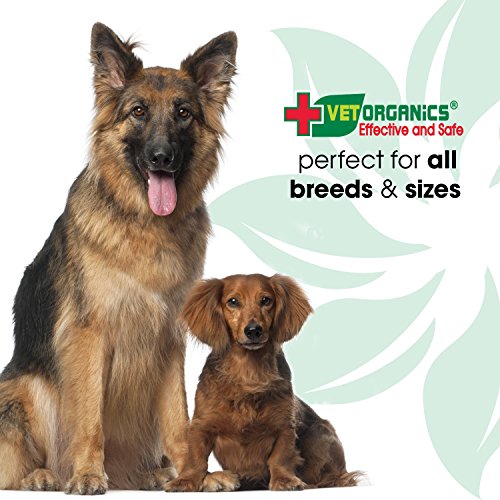 Vet Organics EcoBug All-Natural Aromatic Spray for Dogs - The Naturally-Based Aromatic Formula That Fleas and Ticks Hate! 8 oz.