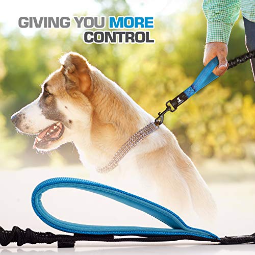SparklyPets Adjustable Leash and 3 in 1 Shock-Absorbing Bungee Extension Set - Heavy Duty Dog Leash for Medium and Large Breeds Made from Durable Nylon - Reduces Pulling Shocks and Prevents Injuries - Thumbnail 6