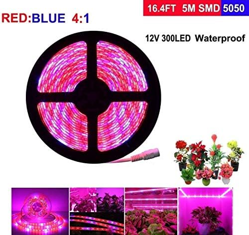 LEHOU LED Plant Grow Light, 5M/16.4ft LED Strip Lights, Waterproof Full Spectrum Red Blue 4:1 Rope Lights for Aquarium Greenhouse Hydroponic Plant, Garden Flowers Veg Grow Lights