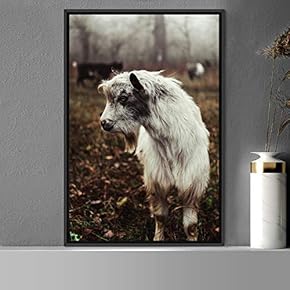 signwin Framed Canvas Wall Art Goat Animals Expressive...