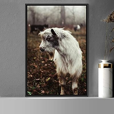 signwin Framed Canvas Wall Art Goat Animals Expressive...