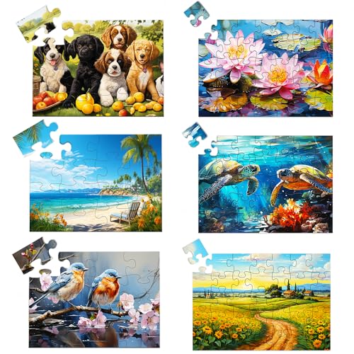 Neoflavie 6 Pack16&35 Dementia Puzzles for