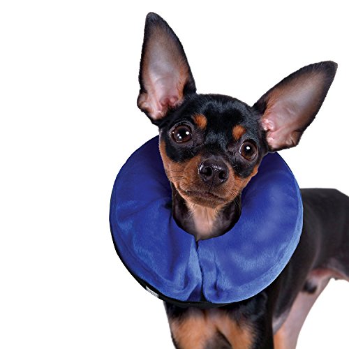 AnnaEye-ProCollar-Pet-E-Collar-for-Dogs-and-Cats-Comfortable-Recovery-Collar-is-Inflatable-and-Does-Not-Block-Vision